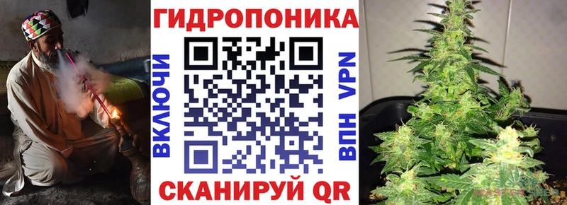 Где купить наркоту Чита Кокаин  Канабис  Alpha-PVP  Codein  МЕФ  kraken рабочий сайт  ГАШИШ 