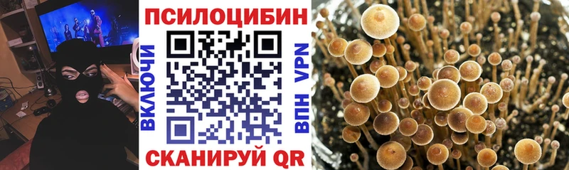 Псилоцибиновые грибы мухоморы  Чита 